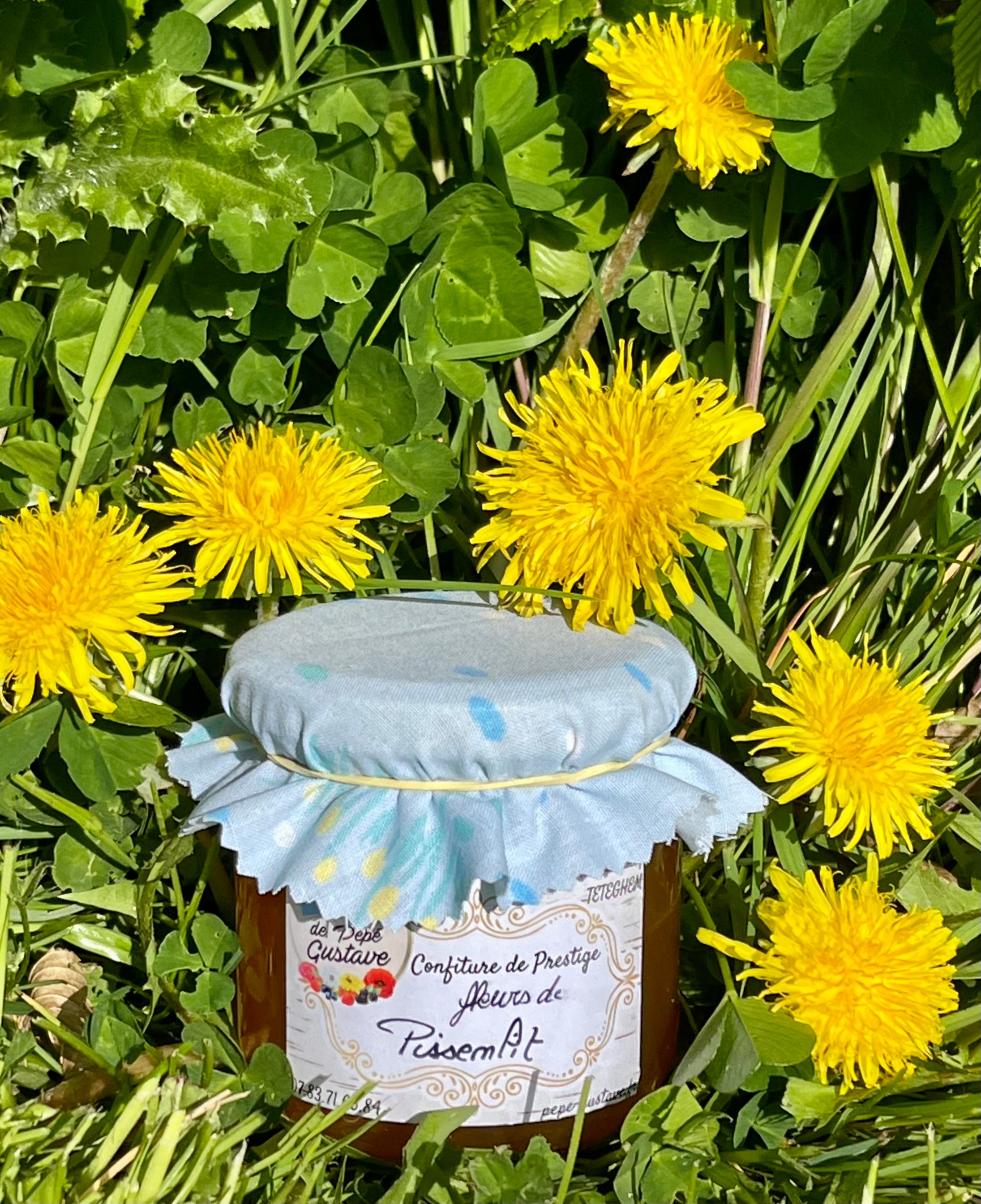 Gelée de Pissenlit